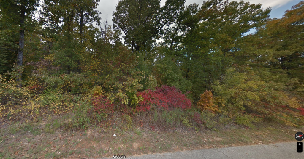 Tiny Home Friendly Wooded Lot near Lake Thunderbird Arkansas