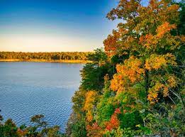 KING/QUEEN of the hilltop on this wooded, Tiny Home Friendly, Unrestricted recreational property.