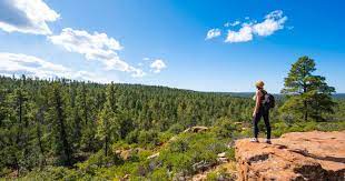 LEAD PHOTO Mongollon rim