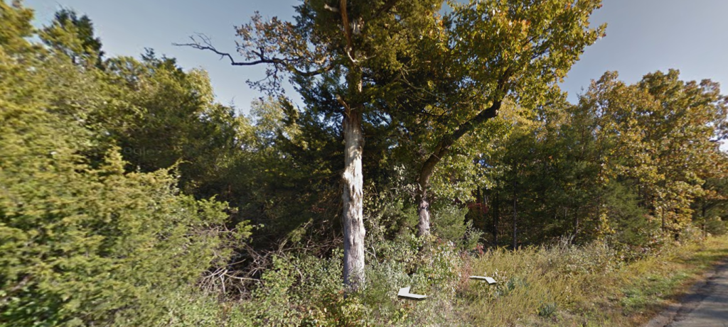 392-00055-000 – Streetview 2