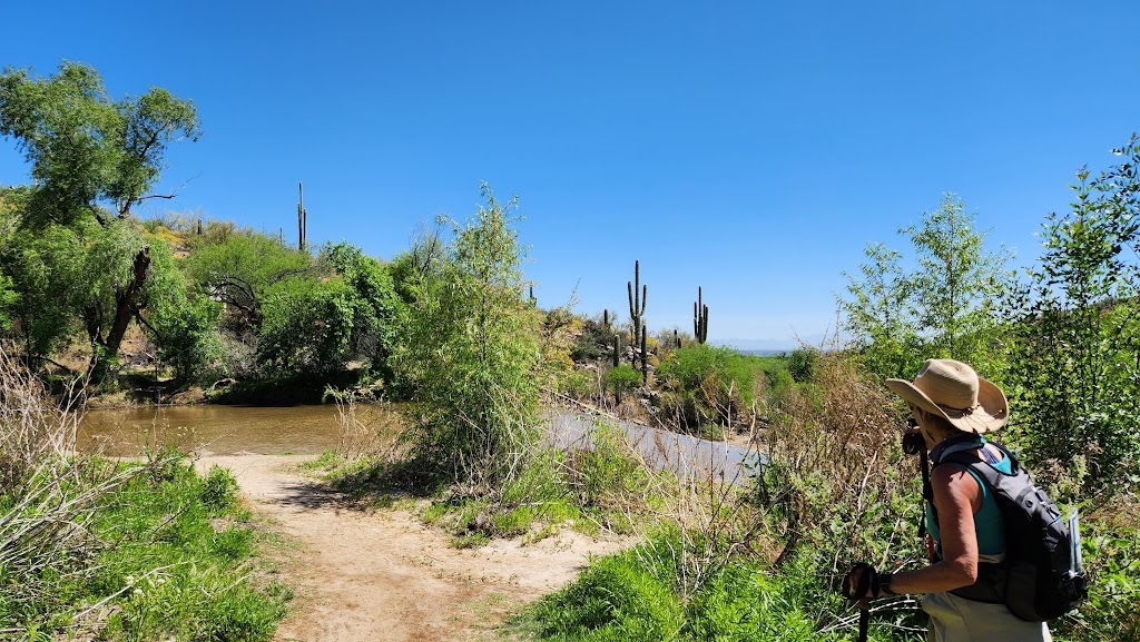Lead Photo – Coronado National Forest 3
