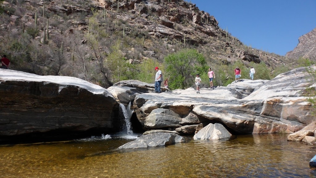 Lead Photo – Coronado National Forest 5