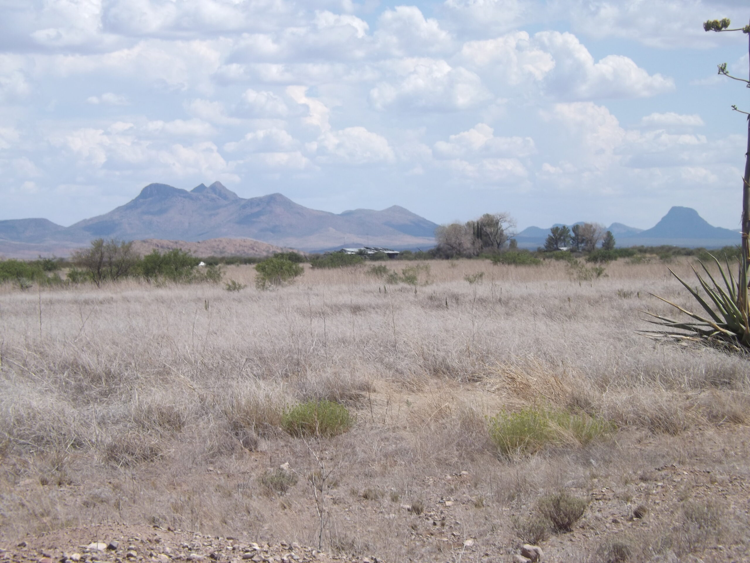 DSCF1660 (1)